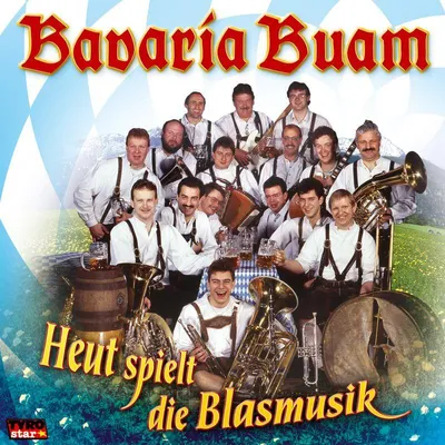 Productafbeelding van Vandaag speelt het blaasorkest, al 30 jaar
