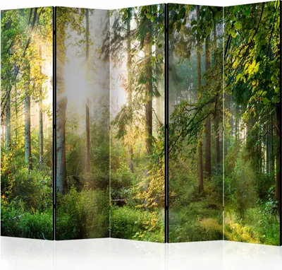 A room divider with a forest landscape print.