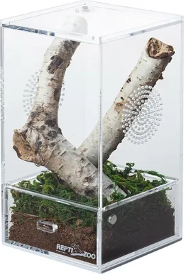 Produktbild von Repti-Zoo Einfach zu reinigendes Acrylterrarium - Acrylterrarium 10x10x20cm Repti-Zoo