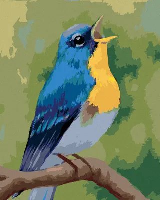 Produktbild von Zuty - Malen nach Zahlen - BLAUER VÖGELCHEN (MYROSLAVA VOLOSCHUK), 40x50 cm, ohne Keilrahmen
