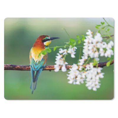 Produktbild von MuchoWow® Mauspad Mousepad Vogel - Bienenfresser - Blumen 40x30 cm - Mousepads - Maus Mat - Pad - Mausunterlage - Anti Rutsch