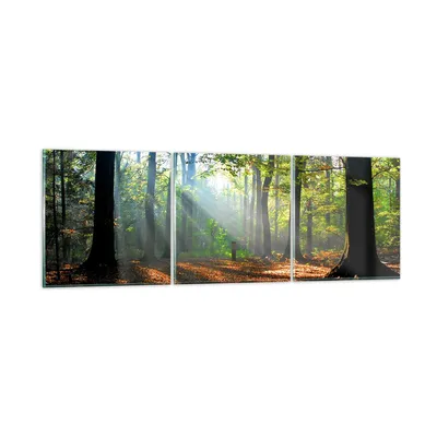 Produktbild von Bilder auf glas - Wald Blätter Sonne - 150x50cm - Glasbilder - Wandbilder - Kunstdruck - zum Aufhängen bereit - Wanddekoration aus Glas - Glas Bilder - Wandbild auf Glas - 3 Teile - GCA150x50-0136