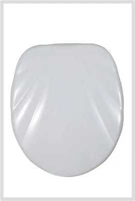 A white toilet seat lid is shown from a top-down perspective against a white background.