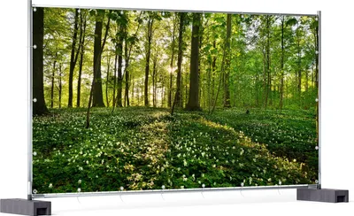 Produktbild von Wallario XXL Outdoor-Poster für Garten oder Balkon, Motiv Waldanemonen und Sonnenstrahlen im Wald, in ca. 340 x 173 cm