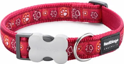 Immagine prodotto di Collare per cani Red Dingo Animal Footprint (1,5 x 24-36 cm)