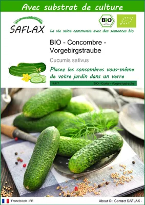 Image de SAFLAX  -- Concombre - Vorgebirgstraube  - 15 graines - Avec substrat - Cucumis