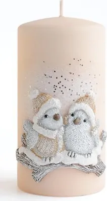 Image de Bougie de Noël PTÁČEK d7x14cm