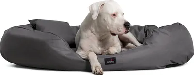 Produktbild von tierlando® Orthopädisches Hundebett ARES VISCO | Polyester | XL XL+ XXL XXXL - Größe: 125x105cm | Farbe: 02 Graphit