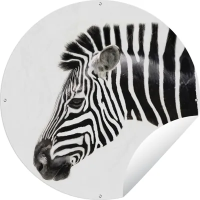 Produktbild von MuchoWow® Gartenposter Outdoor-Poster Rund Zebra - Tiere - Weiß Ø 90 cm Gartendeko Rundes Poster draußen