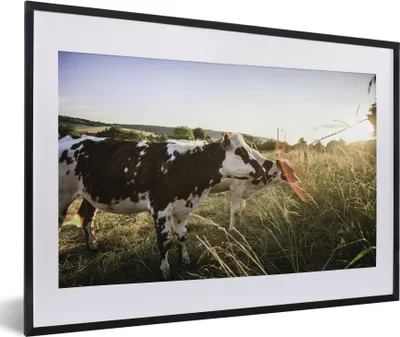 Produktbild von MuchoWow® MuchoWow® Gerahmtes Poster Kühe - Licht - Natur 60x40 cm - Poster mit zchwarzem Bilderrahmen - Schlafzimmer - Plakat in Rahmen - Drucken