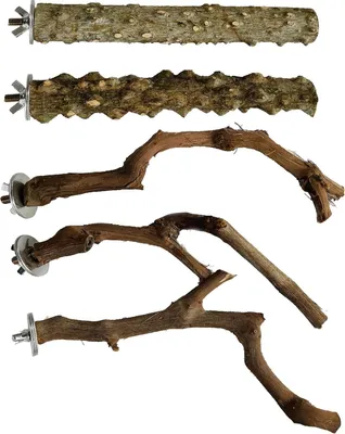Produktbild von Famanu Vogelstange aus Holz - Set mit 5 natürlichen Sitzstangen