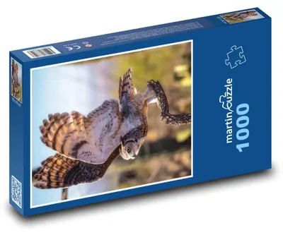 Obrázek produktu pro Puzzle 1000 Sova v letu s kořistí - martinpuzzle