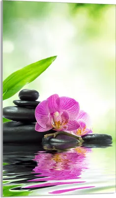 Produktbild von Glasschneidebrett 30x52 Orchidee