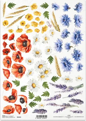 Image de ITD Papier de riz découpage Papier de bricolage Technique de la serviette R2422 Fleurs d'été Coquelicots Bleuets