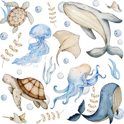 Produktbild von Muralo Wandsticker Set für Kinderzimmer MEERESTIERE Pflanzen 60x30 cm Wandtattoos Aufkleber Set für Baby