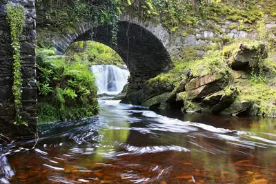 Produktbild von Fototapete - Ireland 375x250cm - Vliestapete