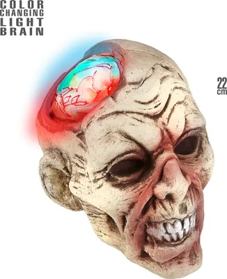 Produktbild von ZOMBIEKOPF MIT FARBÄNDERNDEM GEHIRN 22 cm