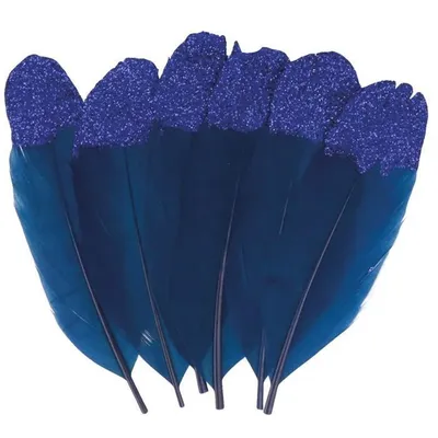Immagine prodotto di 6 piume blu scuro con glitter