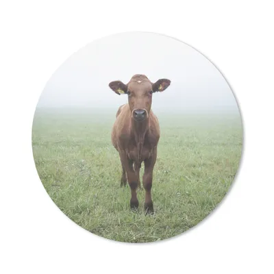 Produktbild von MuchoWow® Mauspad Mousepad Kuh - Nebel - Gras 20x20 cm - Mousepads - Maus Mat - Pad - Mausunterlage - Schreibtischmatte