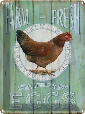 Produktbild von vianmo Blechschild 40x30 cm Huhn Farm fresh Eggs free range