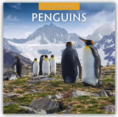 Image de Pingouins - Pingouins 2026 - calendrier 16 mois