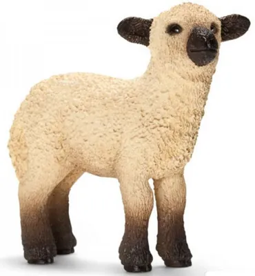 Produktbild von Schleich Shropshire Schäfchen