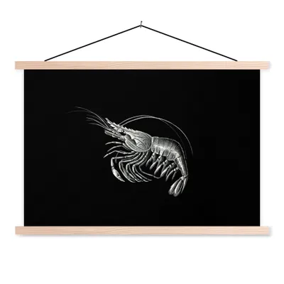 Produktbild von MuchoWow® Textilposter Shrimps - Vintage - Ernst Haeckel - Tiere - Kunst 60x40 cm mit holzfarbenen Rahmen - Bilder