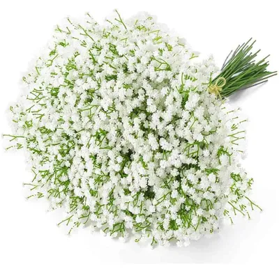 Produktbild von 12 künstliche Schleierkrautblüten (Gypsophila) für DIY-Hochzeitssträuße, Kränze, Partys, Hotel-Tischdekoration und Heimdekoration
