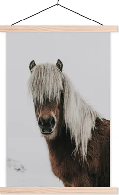 Produktbild von MuchoWow® Textilposter Pferde - Tiere - Porträt - Braun - Weiß 60x90 cm mit holzfarbenen Rahmen - Textil