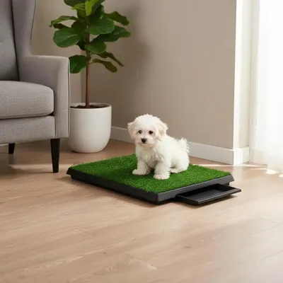 Obrázok produktu pre Haustiermatte – toaleta pre psov s odkvapávacou miskou – umelá tráva – 63 x 50 x 7 cm – armygren