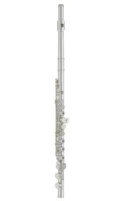 A silver flute is shown vertically against a white background.
