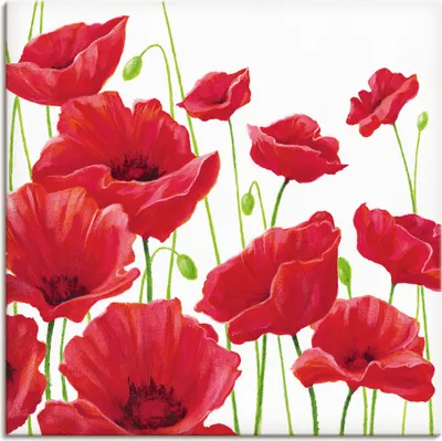 Produktbild von A. S.: Rote Mohnblumen, Produkt:Leinwand, Größe (HxB):50x50 cm / Leinwand