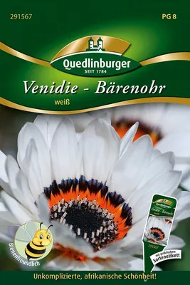Produktbild von Venidie Weiß | Blumensamen von Quedlinburger