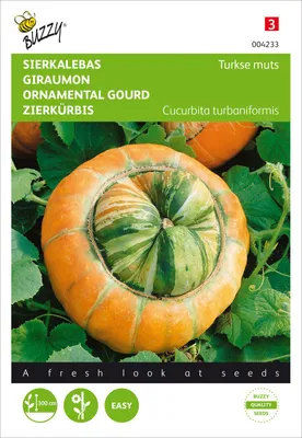 Produktbild von Zierkürbis Bischofsmütze | Zierkürbissamen von Buzzy Seeds [MHD 07/2026]