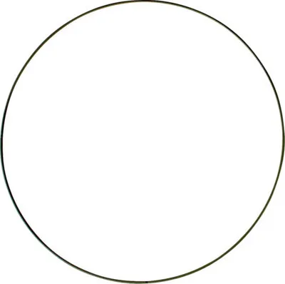 Image de Anneau métallique noir Ø 25 x 0,3 cm