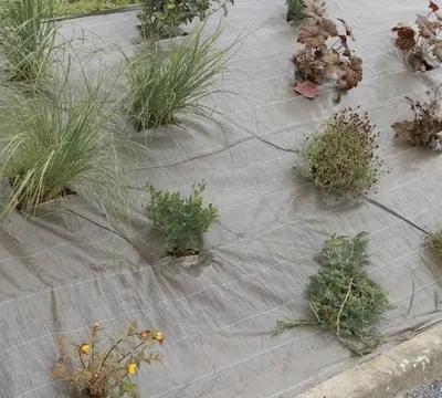 Produktbild von Weedsol Mulchgewebe - Braun - 2,10x25m