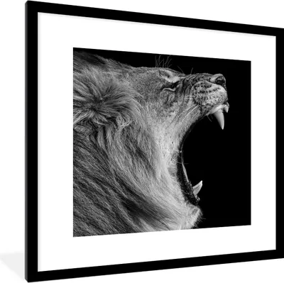 Produktbild von MuchoWow® Gerahmtes Poster Tiere - Löwe - Schwarz - Weiß - Porträt 40x40 cm - Poster mit Schwarzem Bilderrahmen Wandposter Rahmen Foto Bilder - Poster - Plakat im Rahmen