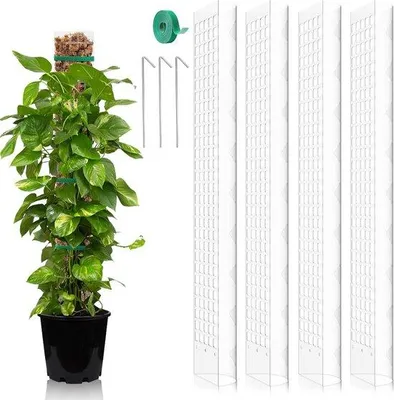 Produktbild von Pflanzenstütze Monstera - 4 Stück - 61 cm - Moosstäbe Set - Zimmerpflanze - Kunststoff - DIY - Weiß