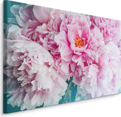 Produktbild von Fabelhafte Canvas LEINWAND BILDER 120x80 cm XXL Kunstdruck Pfingstrosen Blumen Natur
