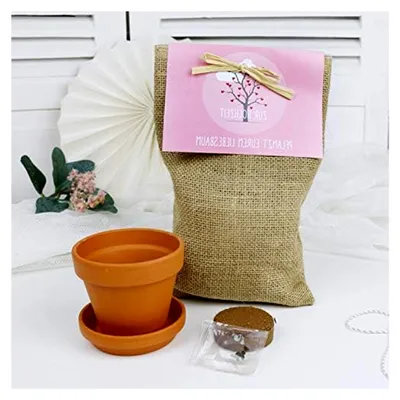 Produktbild von Pflanzset für Bäume als Geschenkidee zur Hochzeit für das Brautpaar