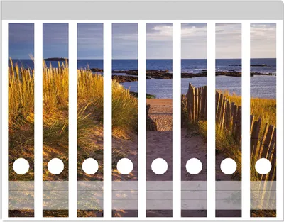 Produktbild von Wallario Ordnerrücken Sticker, selbstklebend für schmale Ordner, 8 Stück, Motiv Weg durch die Dünen zum Meer an der Küste