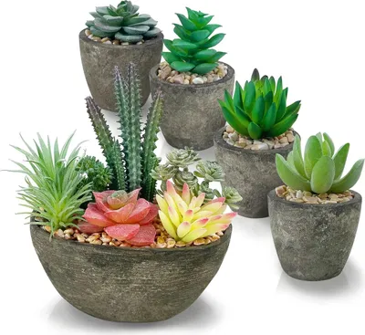 Produktbild von 5er-Pack künstliche Pflanzen, künstliche Sukkulenten, künstliche Blumen mit zementähnlichen Töpfen für die Dekoration zu Hause oder im Büro, grün