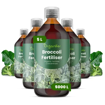 Produktbild von Flüssigdünger für Brokkoli 5x1L – 2-1-8 NPK – Flüssigdünger Für Gemüse – Für Kräftige Köpfe & Blätter – Fördert Wurzeln & Vitalität – Organifer