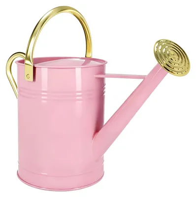Gießkanne 6,5 l, rosa, verzinktes Eisen, abnehmbarer Ausgießer