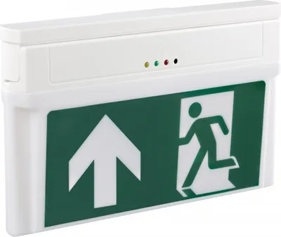 Produktbild von LED-Rettungsleuchte E-LUX Standard, Einzelbatterie-Notleuchte, 301x182x43mm