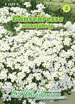 Produktbild von Gänsekresse | Kerbelsamen von N.L. Chrestensen
