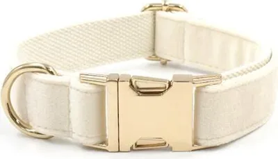 Image de Collier pour chien Crème S