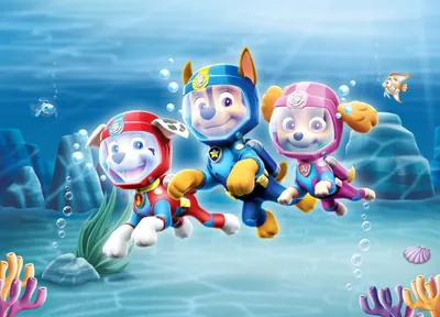 Produktbild von Sanders & Sanders Poster PAW Patrol Blau - 600675 - 160 x 110 cm