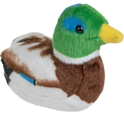 Produktbild von Wild Republic Plüschente Mit Sound (stockente) 18 Cm Mehrfarbig Kinder Mehrfarbig One Size