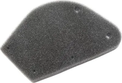 Zdjęcie produktu dla Filtr powietrza ATALA/RIZZATO do Skeggia 50 99-00